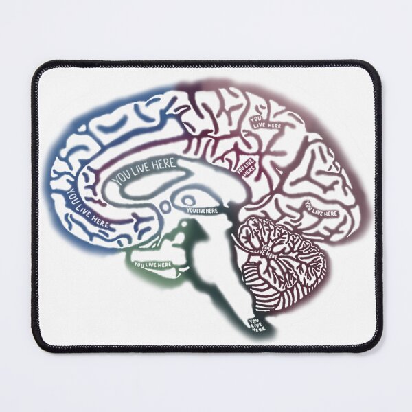 Item preview, Anatomical Brain designed and sold by saberbaber.