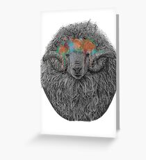 Icelandic Sheep Greeting Card