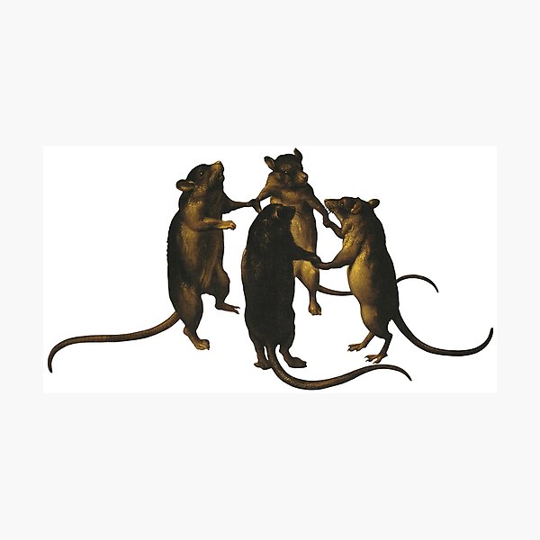 Item preview, The dance of rats designed and sold by elinaarbidane.