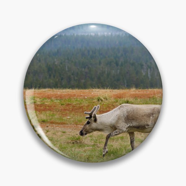 Item preview, On the highlands. Reindeer designed and sold by Jouko Lehto Photography.