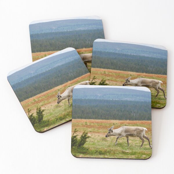 Item preview, On the highlands. Reindeer designed and sold by Jouko Lehto Photography.
