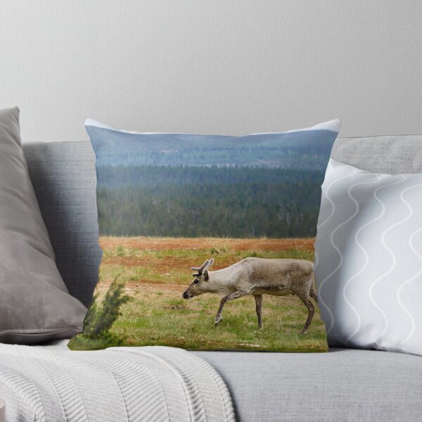 Item preview, On the highlands. Reindeer designed and sold by Jouko Lehto Photography.