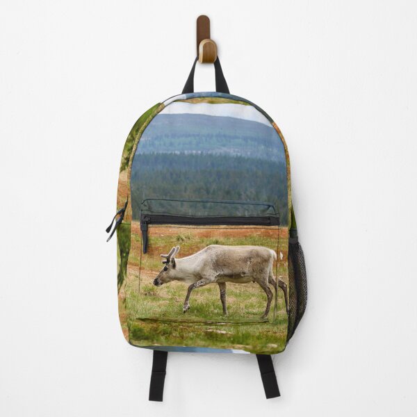 Item preview, On the highlands. Reindeer designed and sold by Jouko Lehto Photography.
