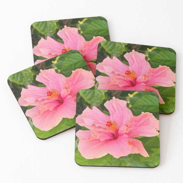 Item preview, Pink Hibiscus Flower Bloom designed and sold by SafariByMarisa.