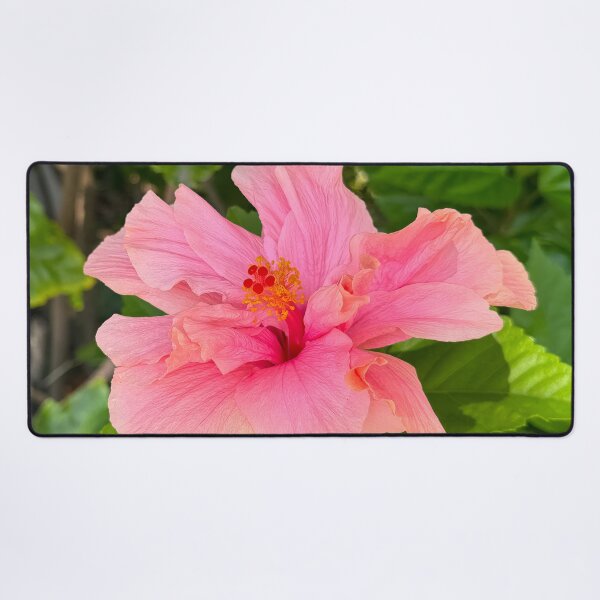 Item preview, Pink Hibiscus Flower Bloom designed and sold by SafariByMarisa.