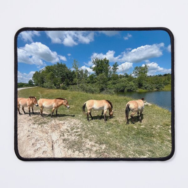 Item preview, Przewalski's Horses designed and sold by Jesse-Motzart.
