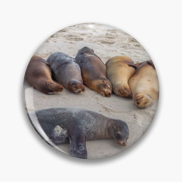 Item preview, Sea Lions Bathing on the Beach designed and sold by SafariByMarisa.