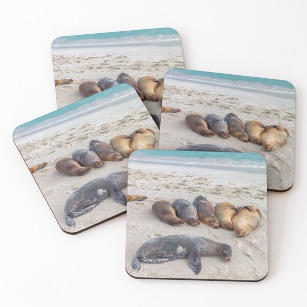 Item preview, Sea Lions Bathing on the Beach designed and sold by SafariByMarisa.