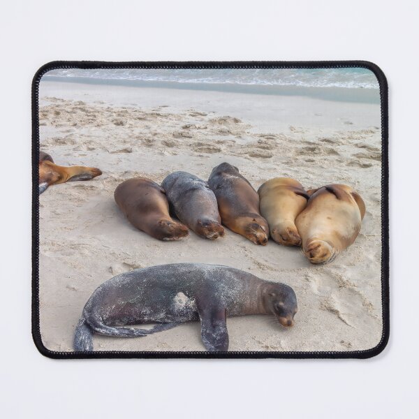 Item preview, Sea Lions Bathing on the Beach designed and sold by SafariByMarisa.