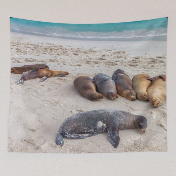 Item preview, Sea Lions Bathing on the Beach designed and sold by SafariByMarisa.
