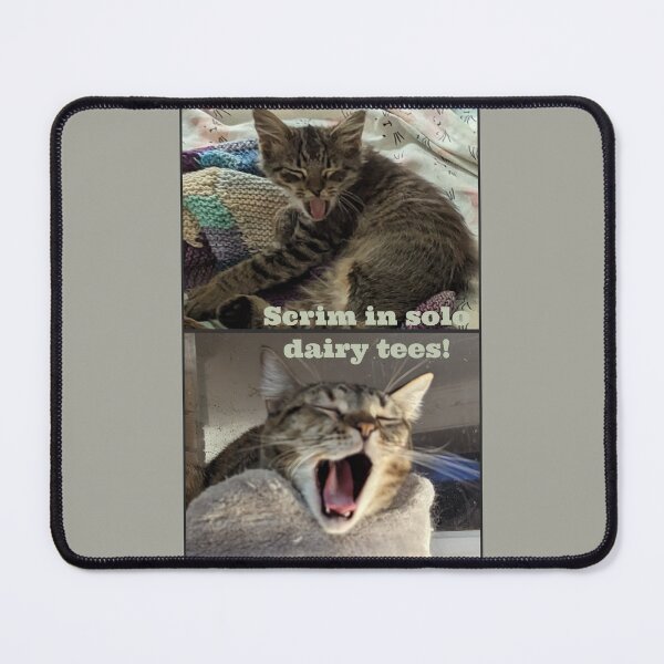 Item preview, Huelga and Sabo Scream in Solidarity designed and sold by ellesie99.