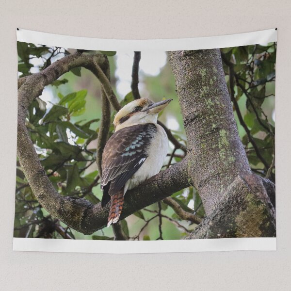 Item preview, Australian Kookaburra designed and sold by Hayden Jacobs.