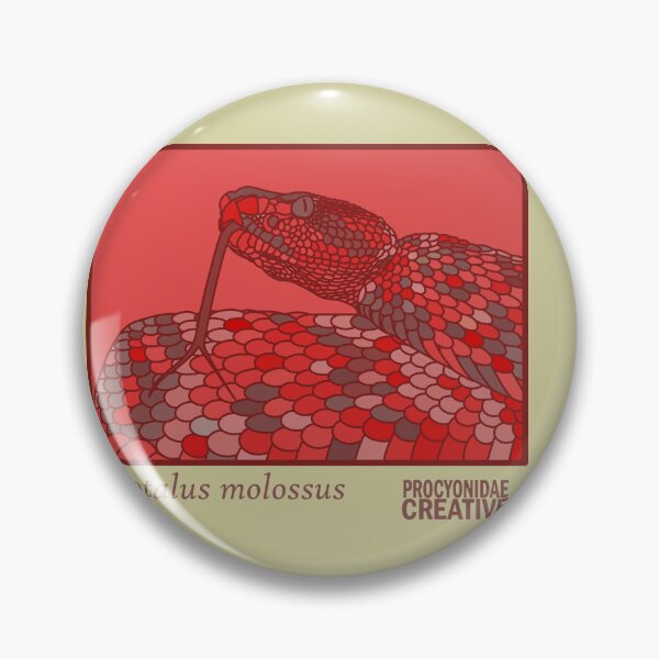 Item preview, Crotalus Molossus designed and sold by Procyonidae Creative.