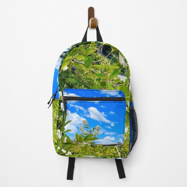 Item preview, The Spokane Riverwalk in Late Spring designed and sold by ColorRoadians.