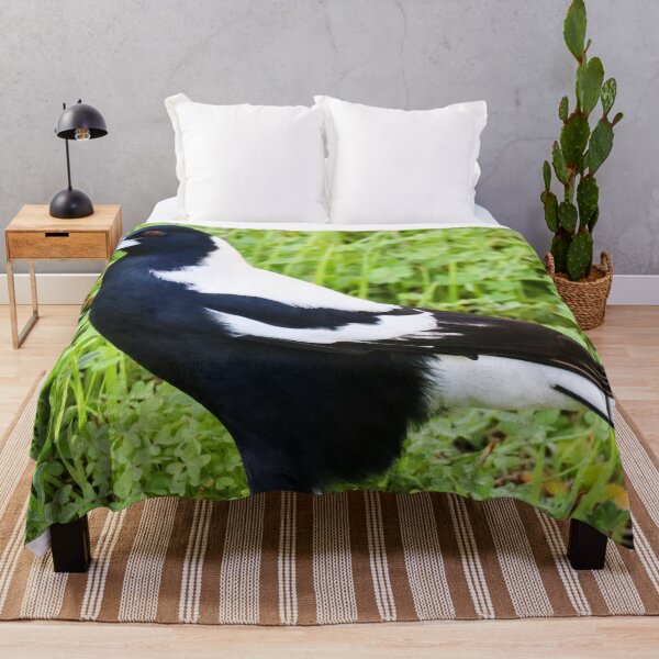 Item preview, Australian Magpie Photograph designed and sold by Hayden Jacobs.