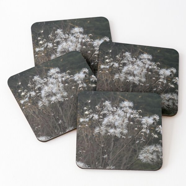 Item preview, shallow designed and sold by Aesti.