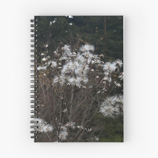 Item preview, shallow designed and sold by Aesti.