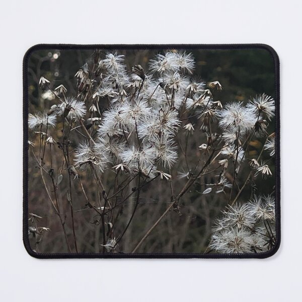 Item preview, shallow designed and sold by Aesti.