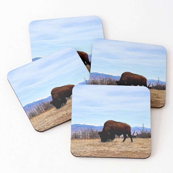 Item preview, Bison at Daniel's Ridge Buffalo Preserve in Colorado designed and sold by ColorRoadians.