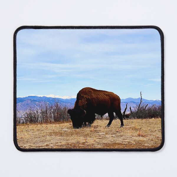 Item preview, Bison at Daniel's Ridge Buffalo Preserve in Colorado designed and sold by ColorRoadians.