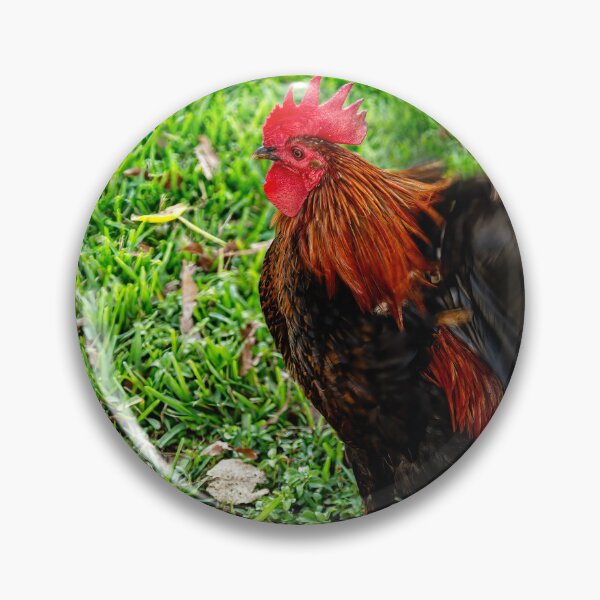 Item preview, Rooster Hissy Fit  designed and sold by Kay Brewer.