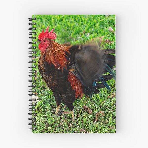 Item preview, Rooster Hissy Fit  designed and sold by Kay Brewer.