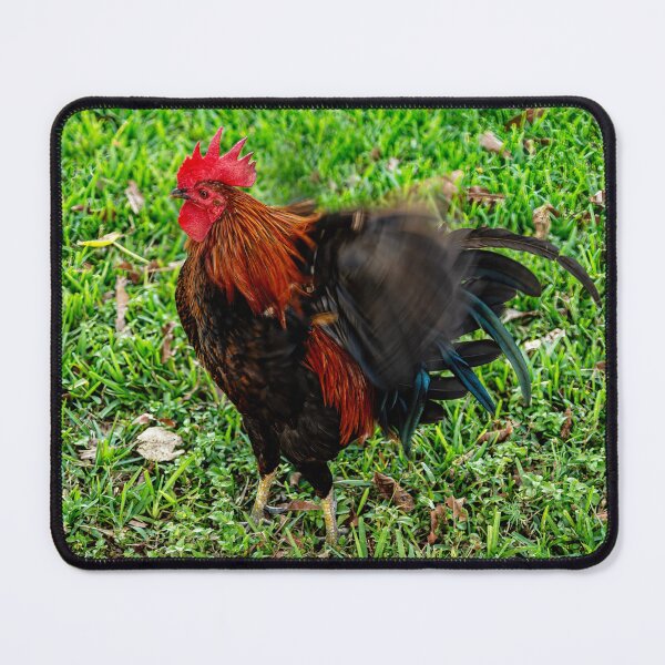 Item preview, Rooster Hissy Fit designed and sold by Kay Brewer.