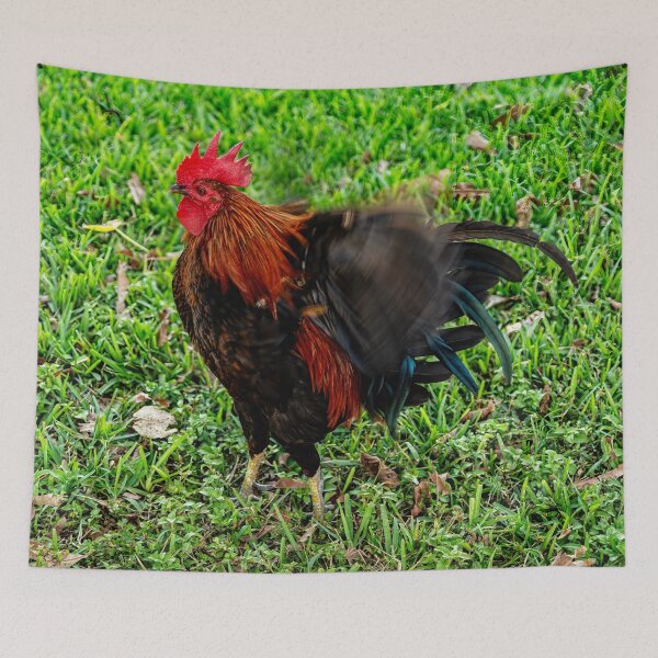 Item preview, Rooster Hissy Fit  designed and sold by Kay Brewer.