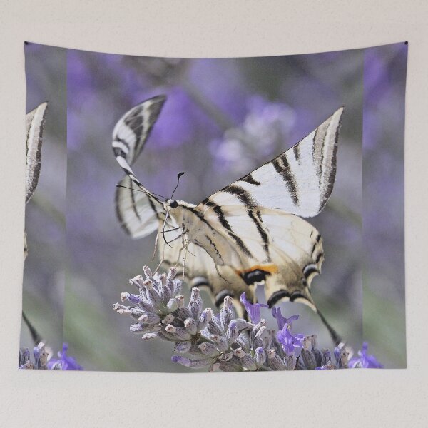 Item preview, r3748/ Finition 2024 - 2 -   " Butterfly "the Flambé - the Magnificent - Papillon " le Flambé - le Magnifique "  Okaio Créations  Olavia-Olao designed and sold by o.okaïo.