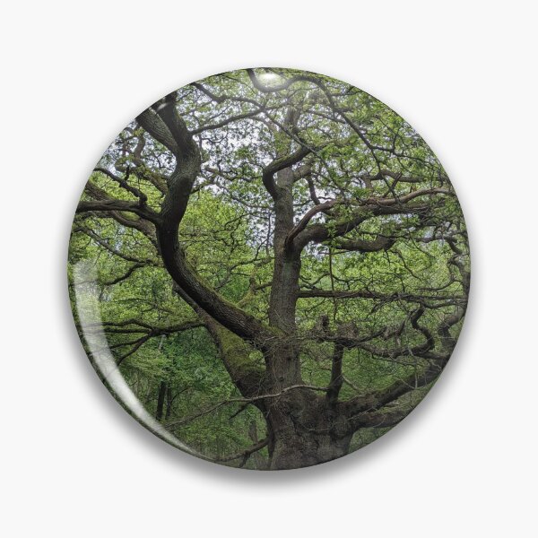 Item preview, Ancient Tree designed and sold by FastRapidash.