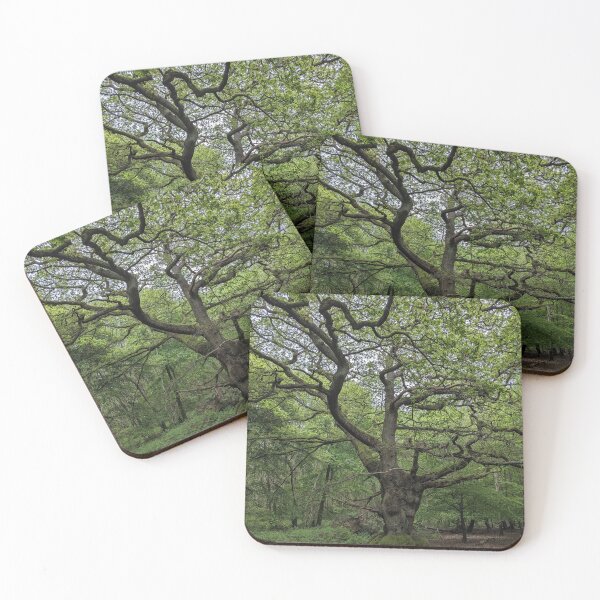 Item preview, Ancient Tree designed and sold by FastRapidash.