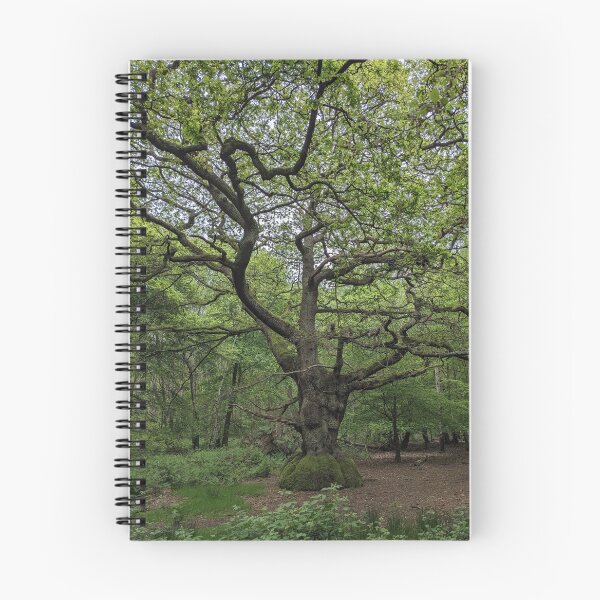 Item preview, Ancient Tree designed and sold by FastRapidash.