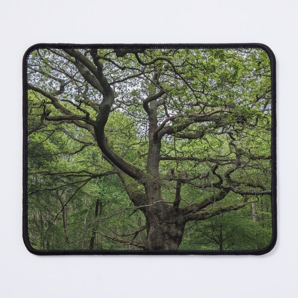 Item preview, Ancient Tree designed and sold by FastRapidash.