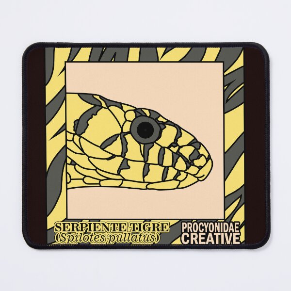 Item preview, Spilotes pullatus designed and sold by Procyonidae Creative.