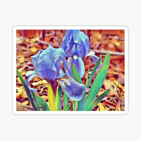 Item preview, Irises designed and sold by Bobthebug.