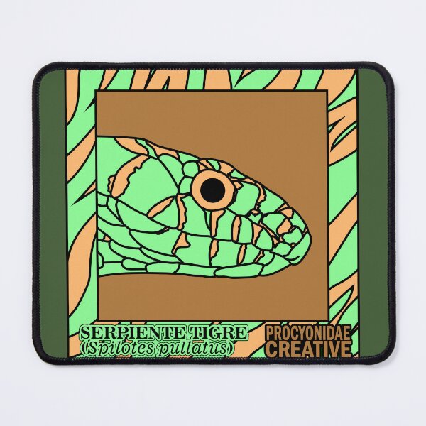 Item preview, Spilotes pullatus designed and sold by Procyonidae Creative.