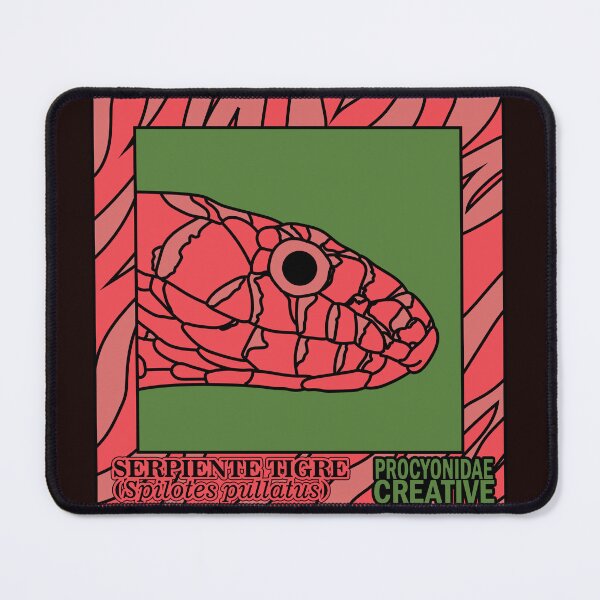 Item preview, Spilotes pullatus designed and sold by Procyonidae Creative.