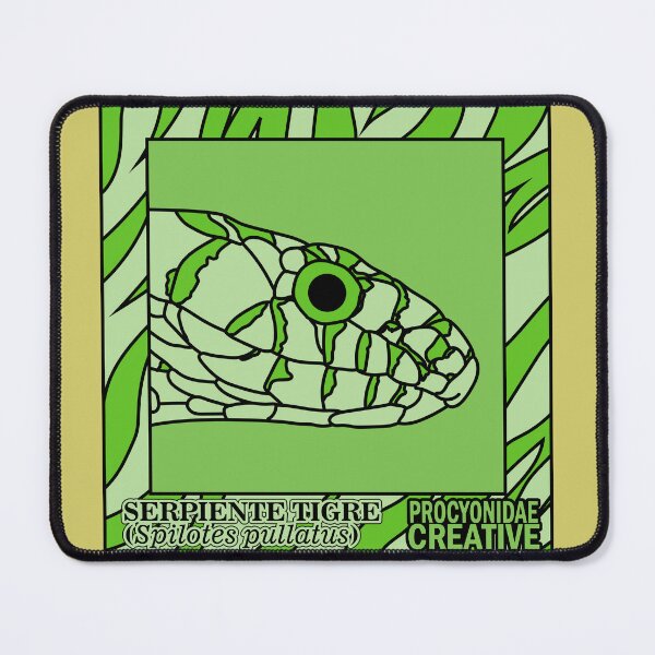 Item preview, Spilotes pullatus designed and sold by Procyonidae Creative.