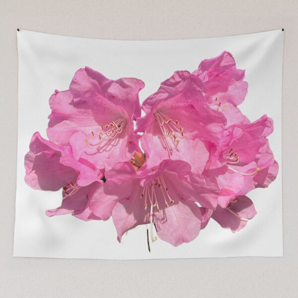 Item preview, Rhododendron Fury designed and sold by Fleurimante.