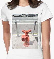 drain, Happiness, Building, Skyscraper, New York, Manhattan, Street, Pedestrians, Cars, Towers, morning, trees, subway, station, Spring, flowers, Brooklyn Women's Fitted T-Shirt