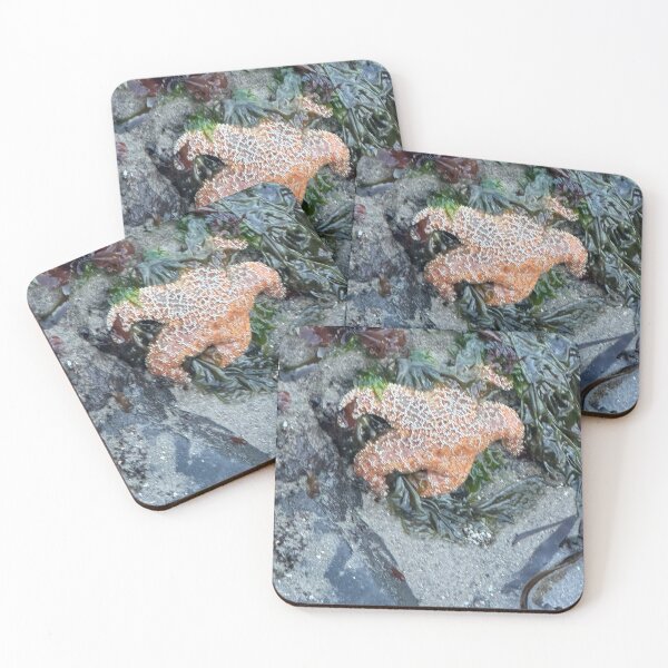 Item preview, Sea Star Strawberry Hill designed and sold by cheyb29.