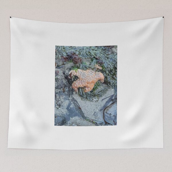 Item preview, Sea Star Strawberry Hill designed and sold by cheyb29.