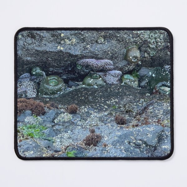 Item preview, Tide Pools Strawberry Hill designed and sold by cheyb29.