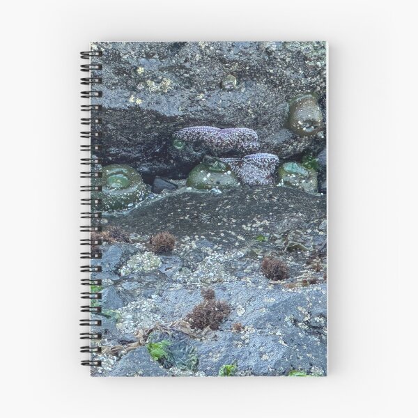 Item preview, Tide Pools Strawberry Hill designed and sold by cheyb29.