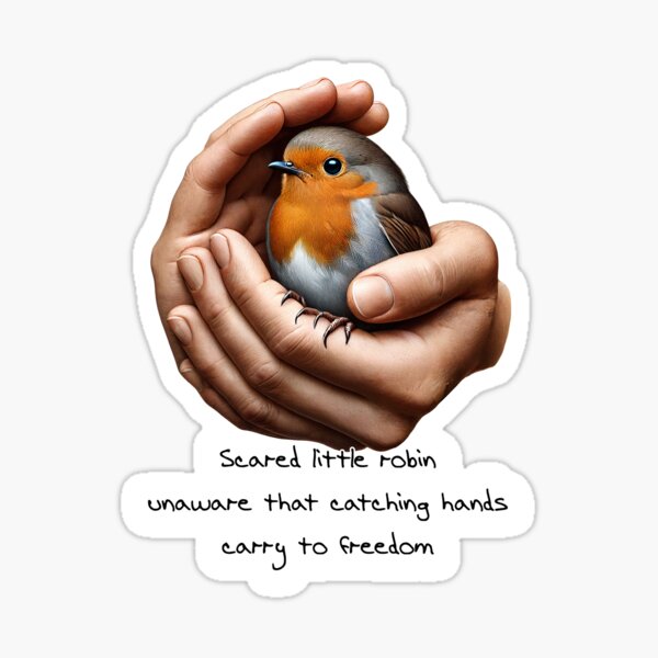 Item preview, Robin Haiku designed and sold by Injamben.