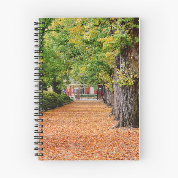 Item preview, The Avenue of Elms  designed and sold by D-GaP.