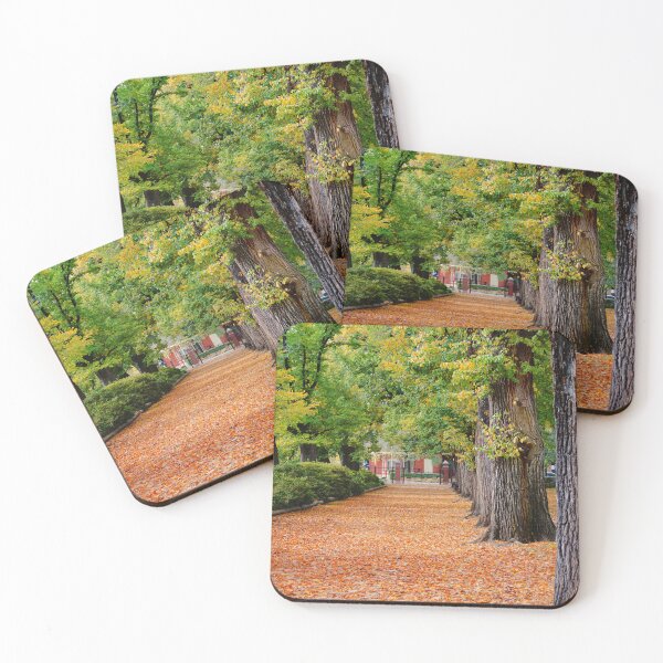 Item preview, The Avenue of Elms  designed and sold by D-GaP.