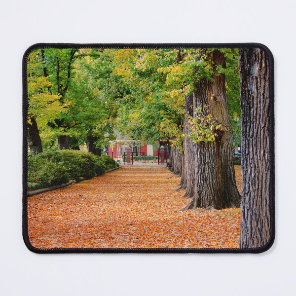 Item preview, The Avenue of Elms  designed and sold by D-GaP.