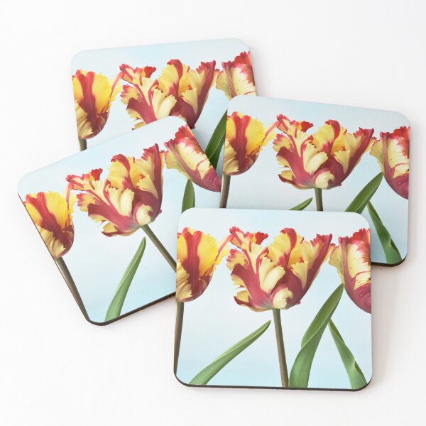 Item preview, Tulipa 'Flaming Parrot' Parrot Group Tulip designed and sold by Chris Burrows.