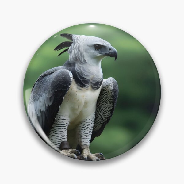Item preview, Harpy Eagle Art #8 | Harpy Eagle Lovers designed and sold by ksgraphics222.
